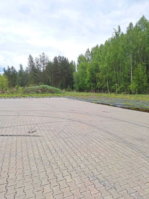Działka Skupowo, 8012 m2, gmina Narewka, częściowo utwardzona - bruk