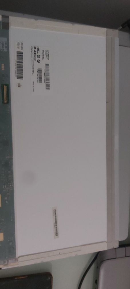 Lvendo ecra P173WD1 TP (E1) Fosco EDP 17.3 polegadas