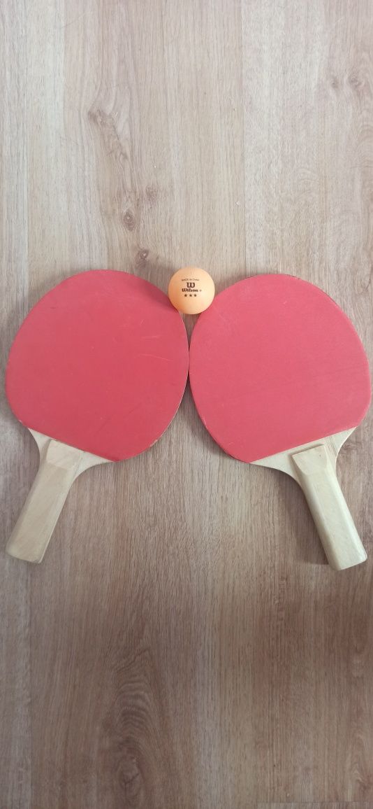 Raquetes + Bola de Ping-pong