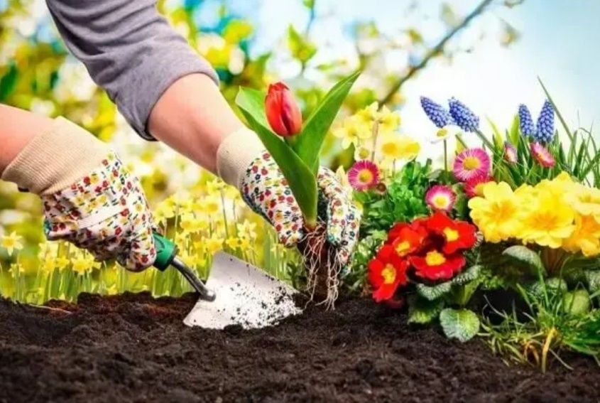 Empresa Jardinagem  - Especialista Técnico Jardineiro