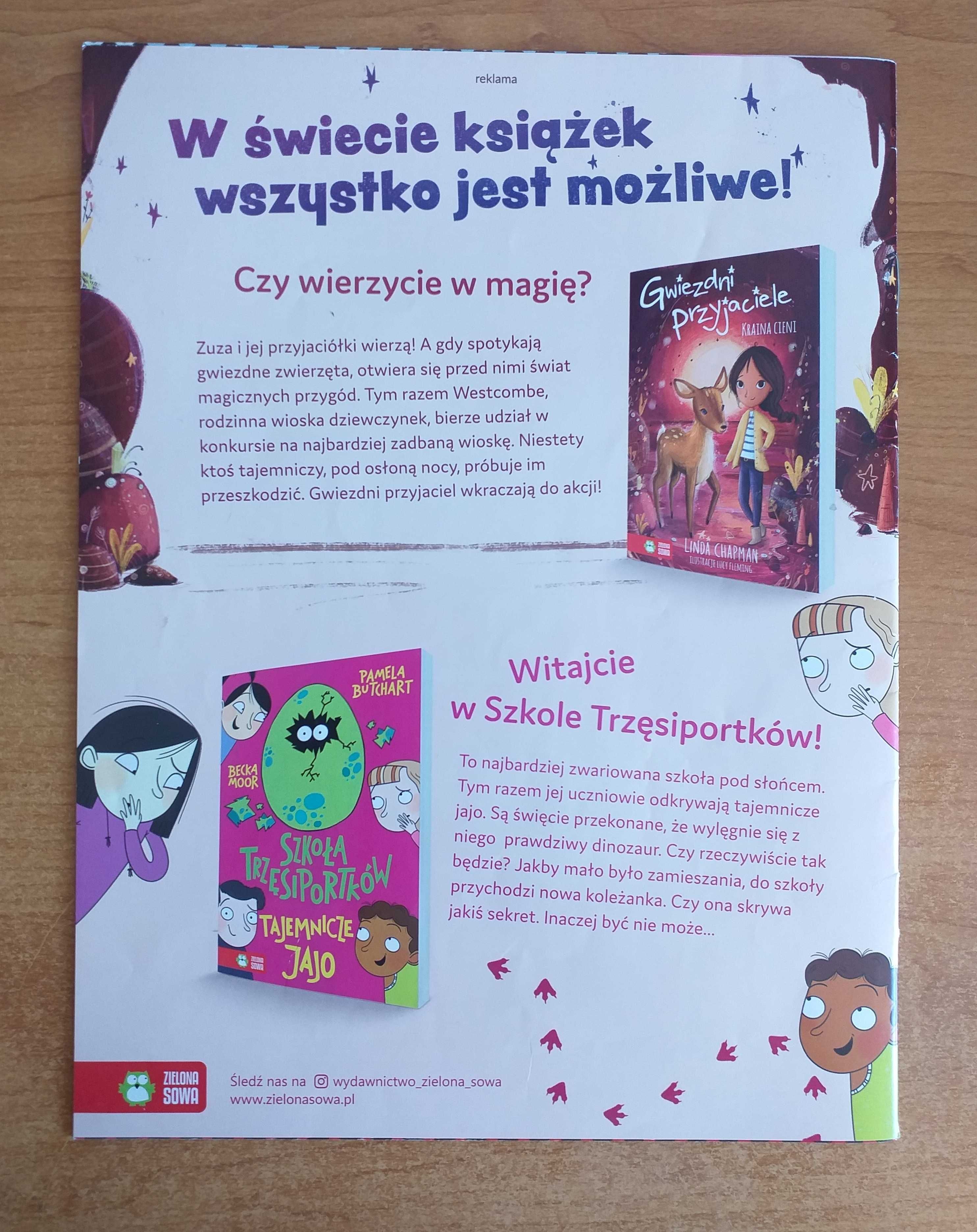 Miraculous - Biedronka i Czarny Kot, gazetka nr 3/2021