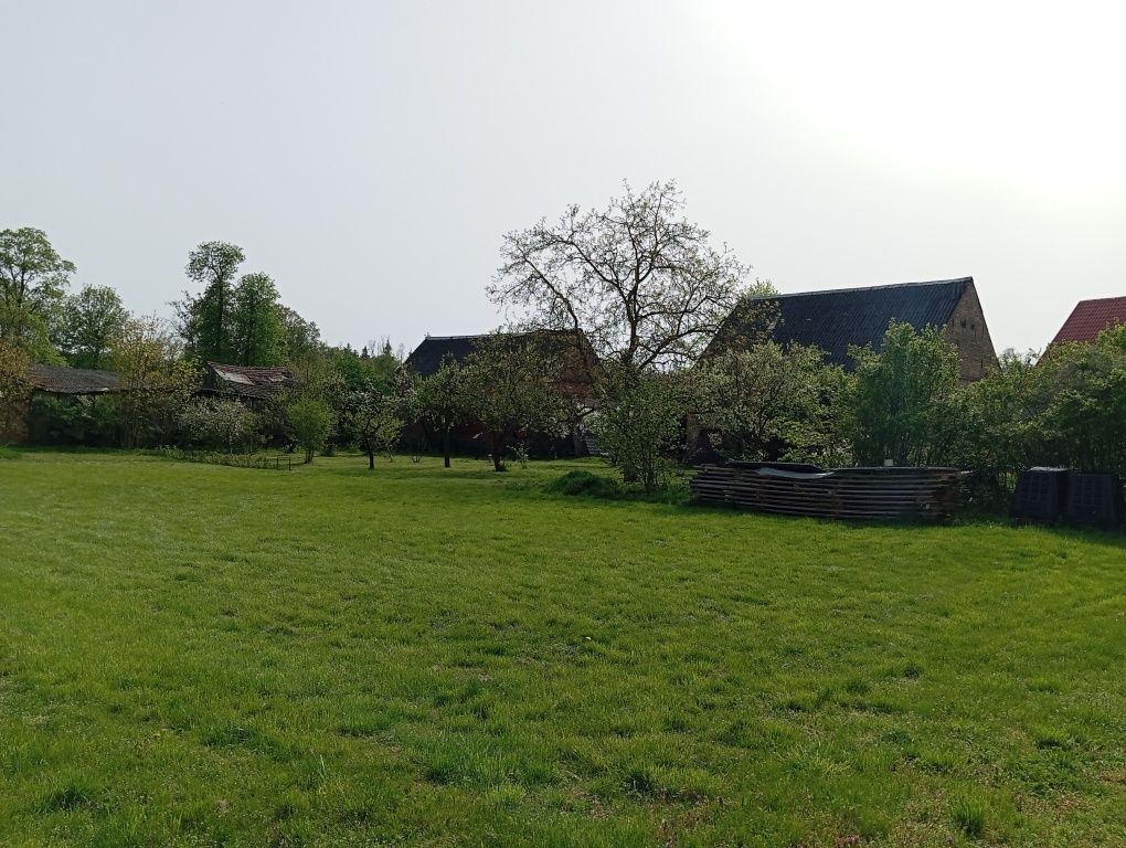 Sprzedam dom z dużą działką 29 arów