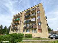 Mieszkanie w centrum miasta
