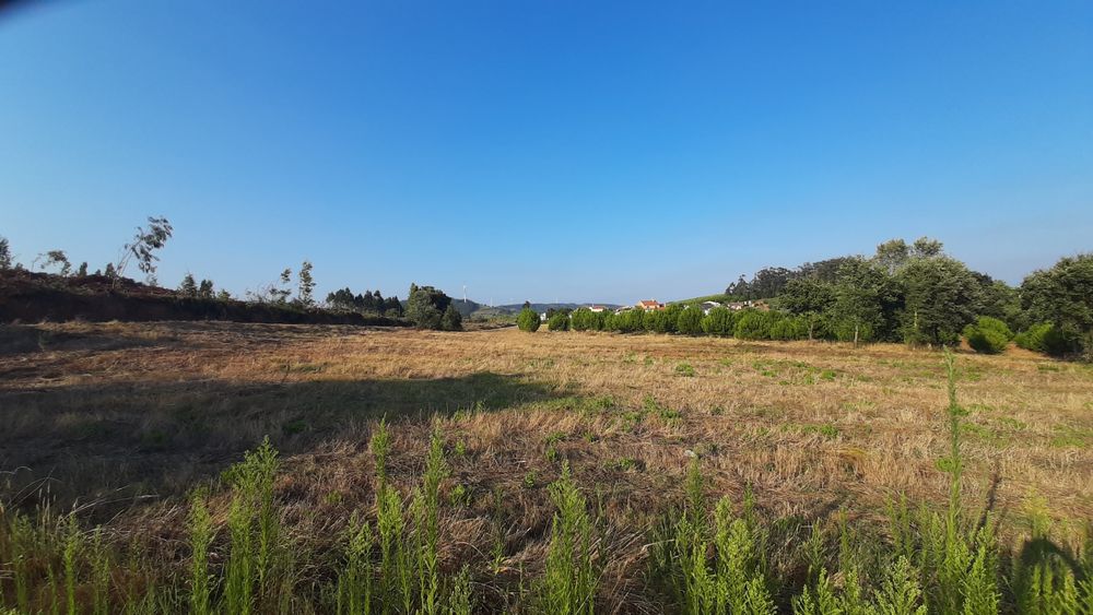 Terreno com 2.500 m²