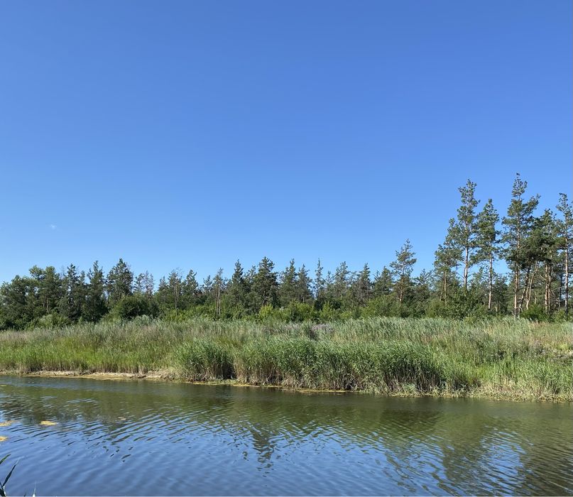 Продажа будинку в с. Орлівщина