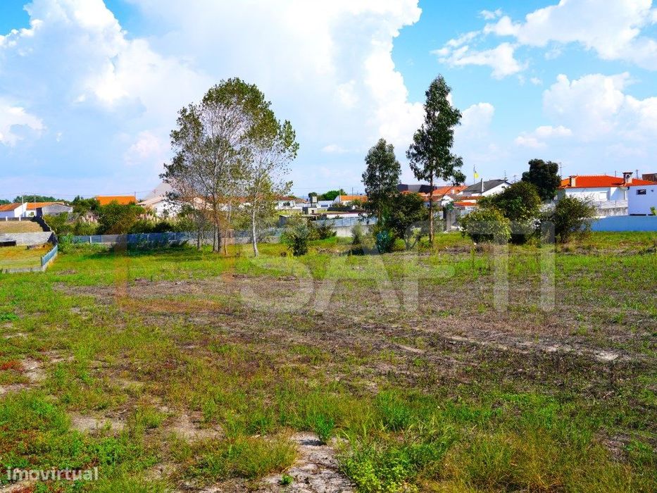 Terreno plano para construção, com uma área total 5000 m2.