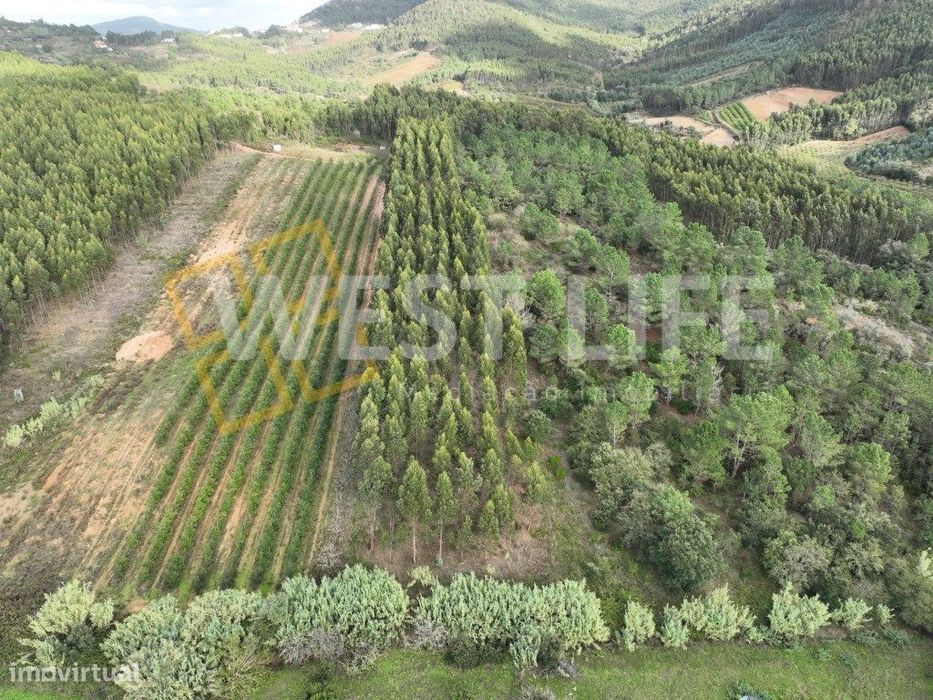 Terreno Agrícola de 8875m2 - Excelente exposição solar - Sobral da ...