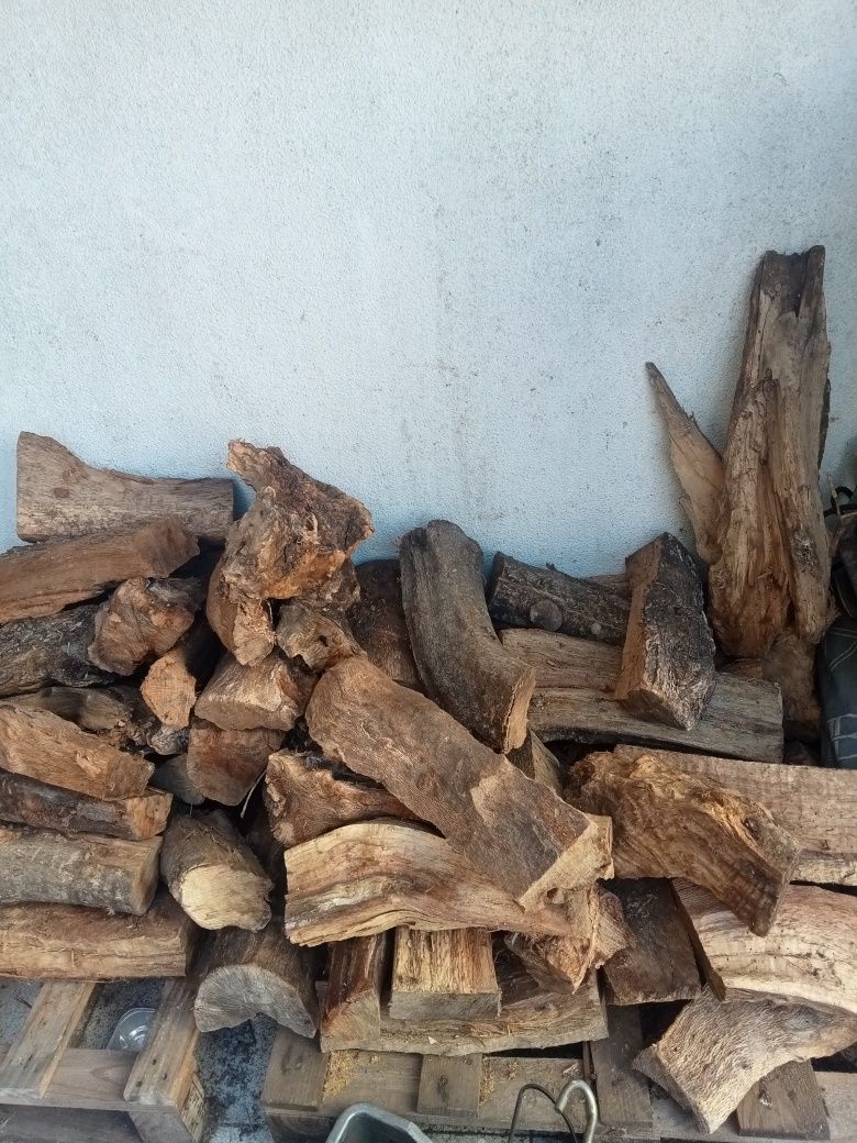 Lote de lenha sobro seca
