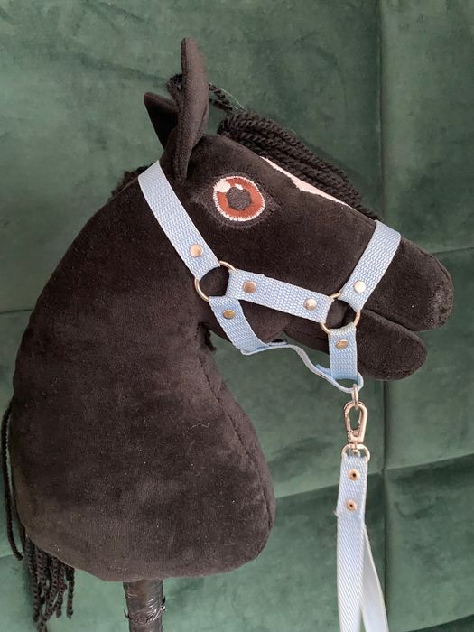 Hobby      horse