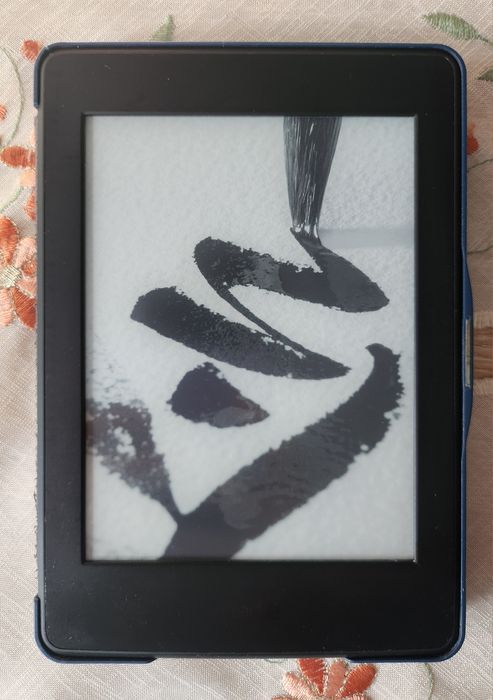 Kindle Paperwhite 7th gen. + etui