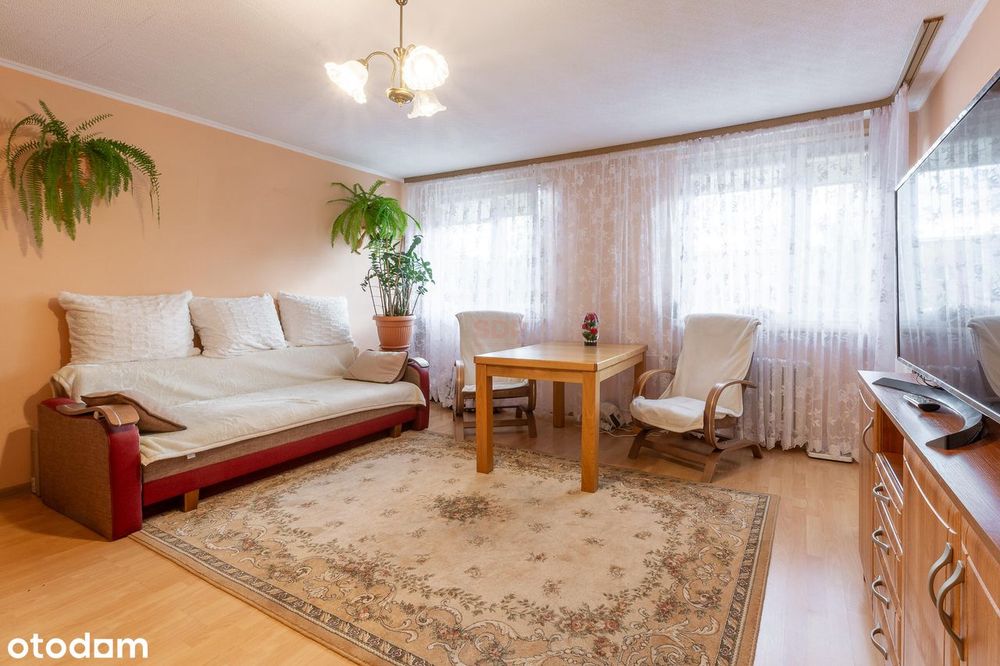 3 pokoje z kuchnią, loggią i piwnicą