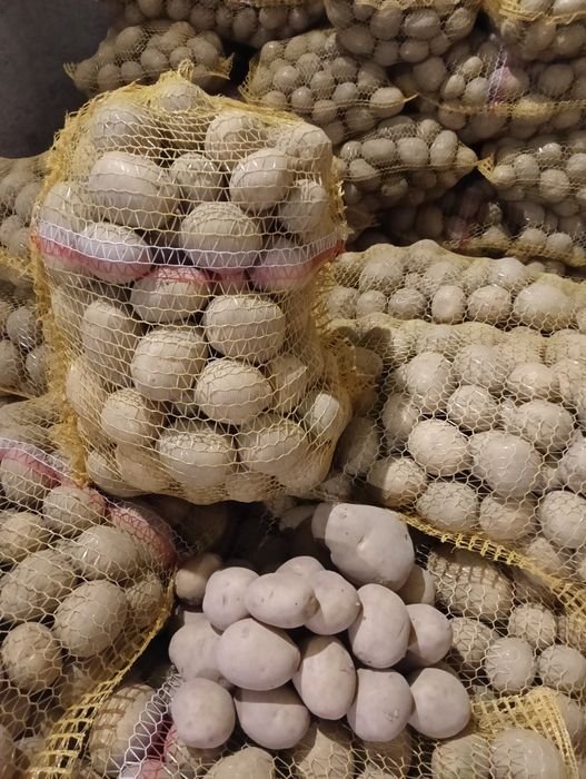 Ziemniaki Kartofle Pyry Katering Restauracja Stołówka