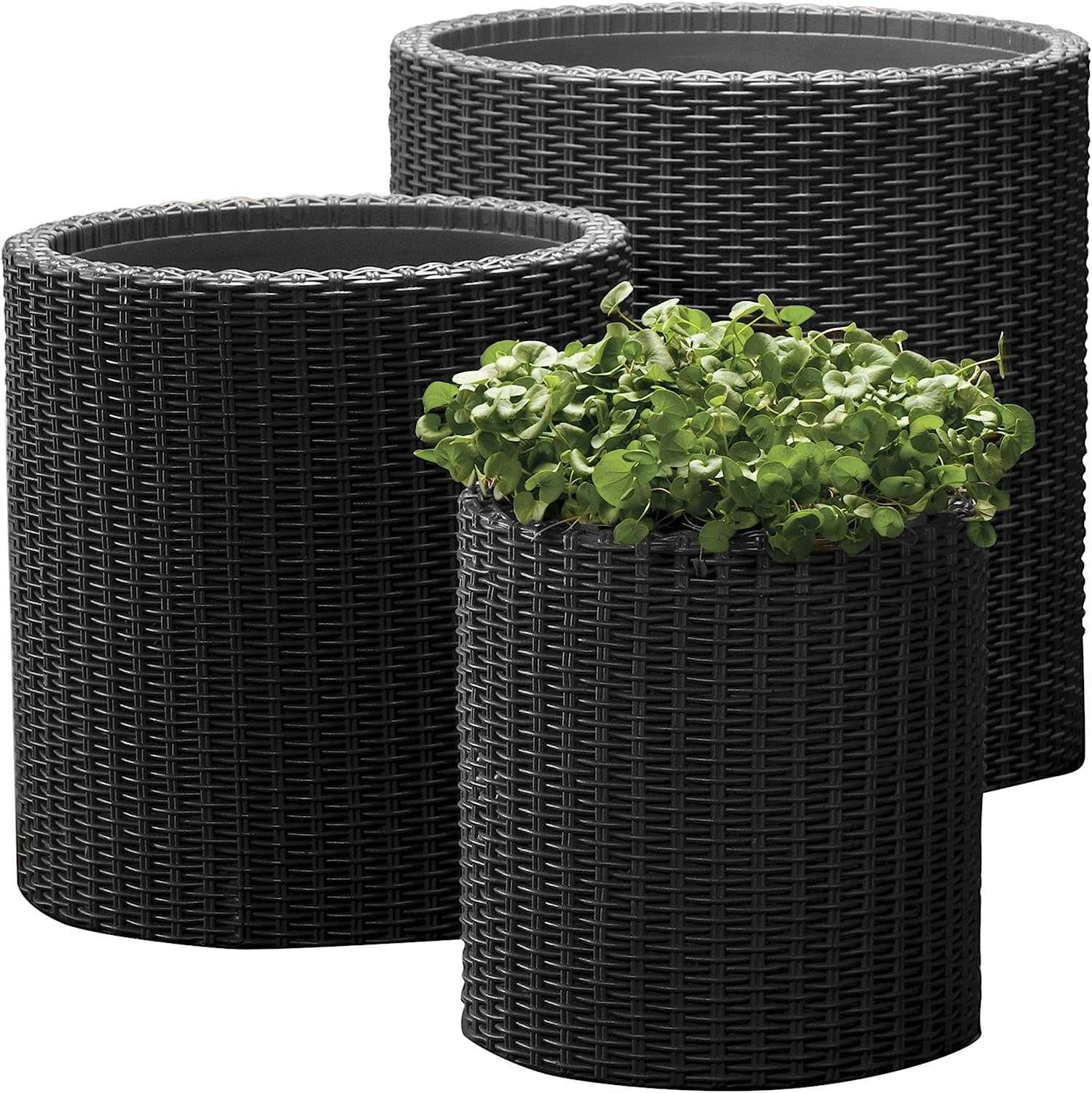 Комплект кашпо для цветов Keter Cylinder Planters S+M+L