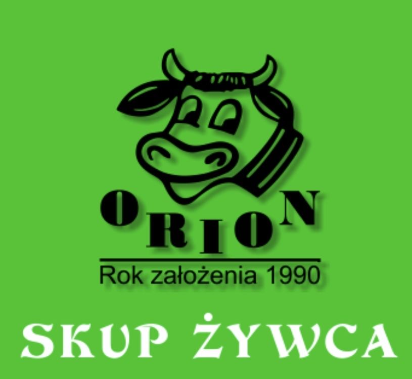 Skup bydła | konkurencyjne ceny