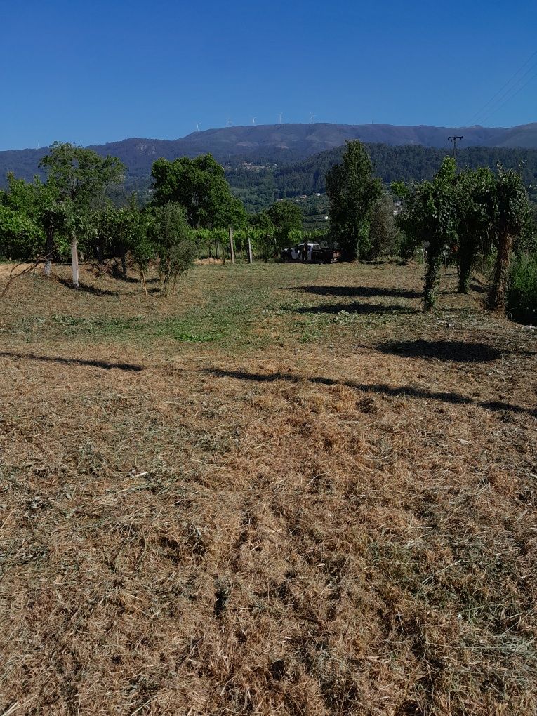 Limpeza de terrenos