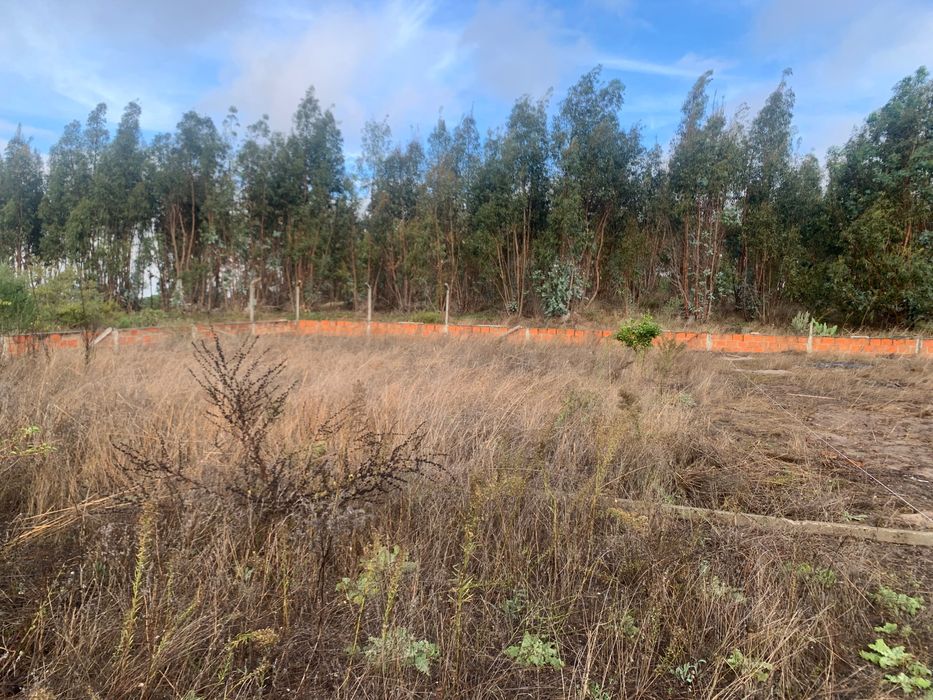 Terreno a venda na Quinta da marquesa