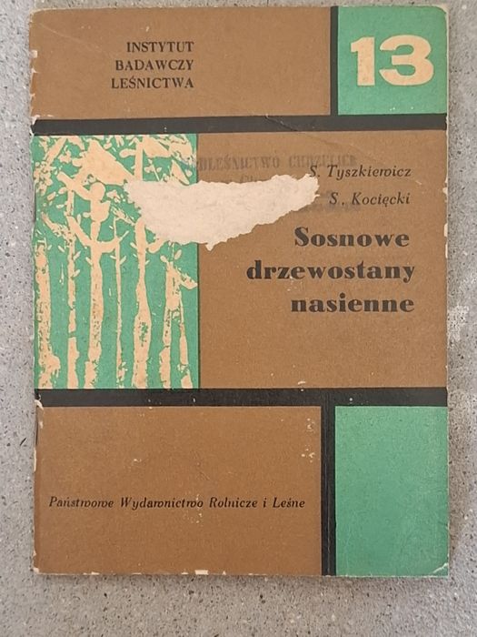 Sosnowe drzewostany nasienne