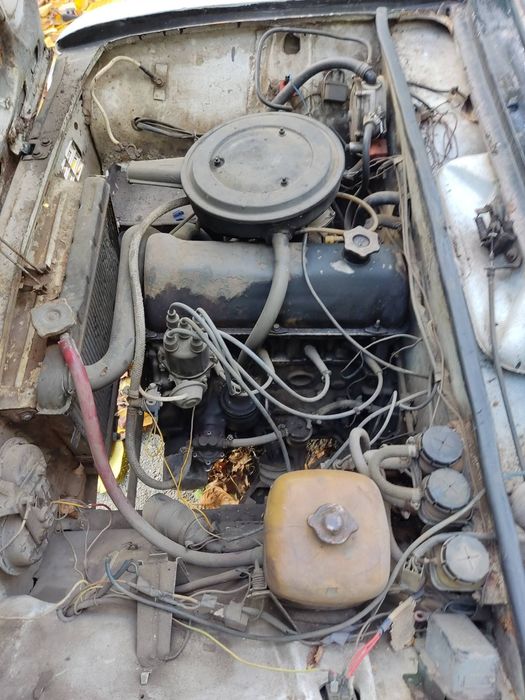 Мягка15855815626254