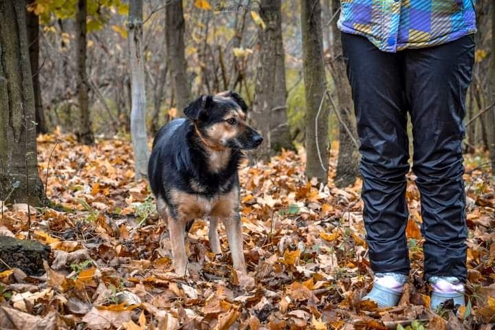 Kochana sunieczka zasługuje na swój Domek i Rodzinę!