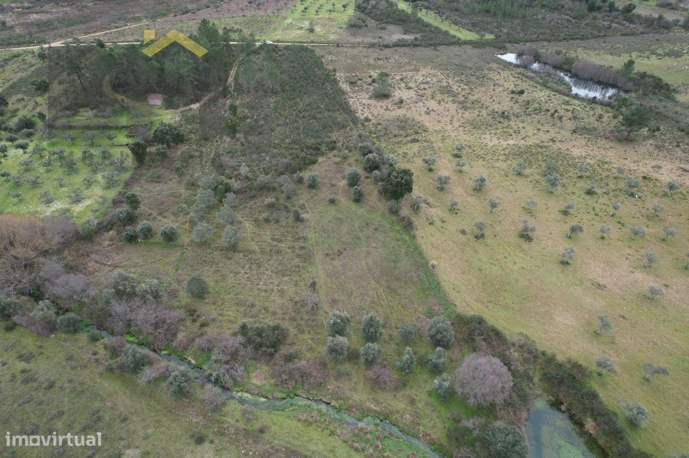 Terreno Rústico  Venda em Freixial e Juncal do Campo,Castelo Branco