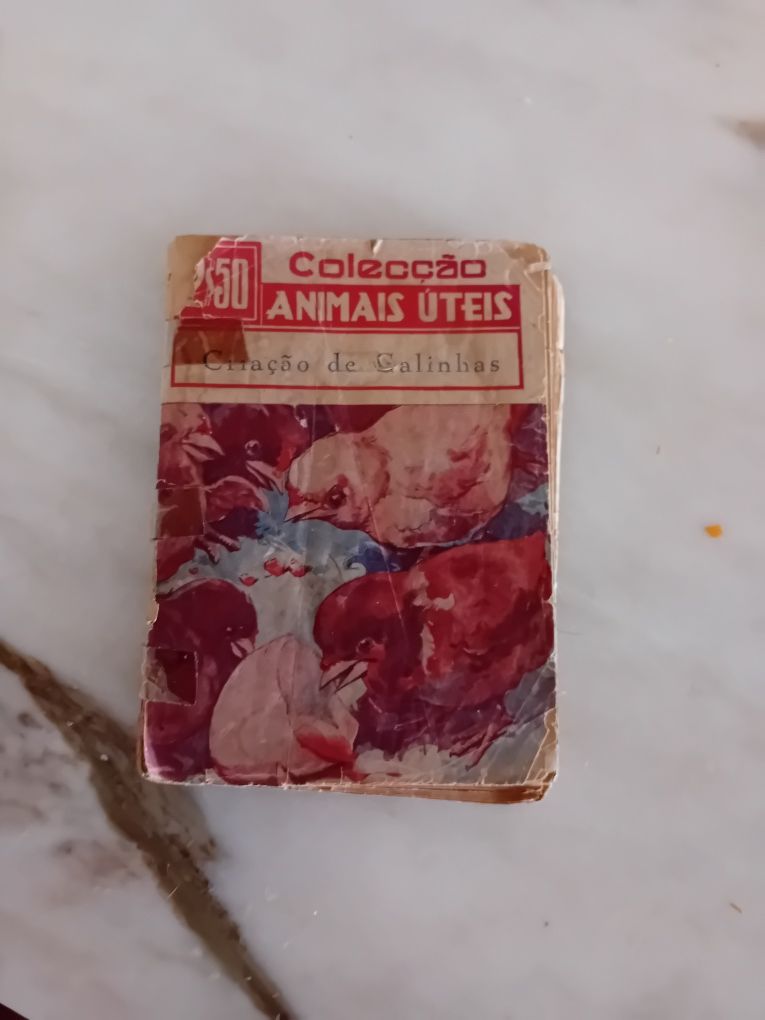Livro Antigo Criação de Galinhas
