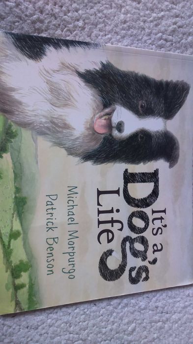 Книга для дітей англійською Це собаче життя  It's a Dog's Life