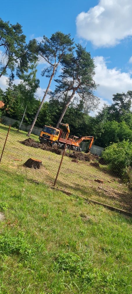 Wycinka drzew, przycinka, cięcie, karczowanie działek, rębak