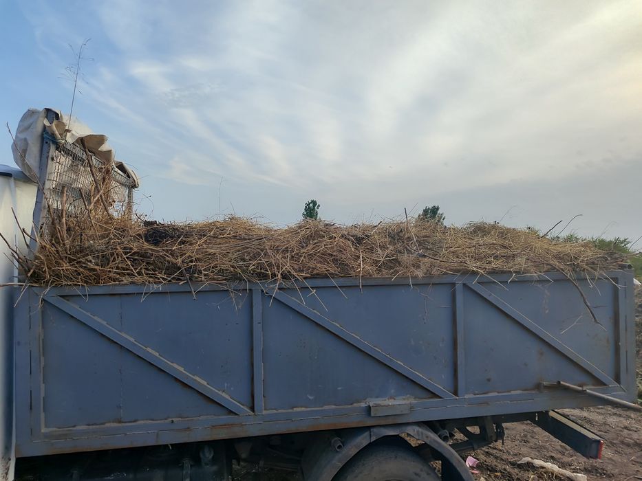 Вывоз мусора. Любой объем, любая сложность