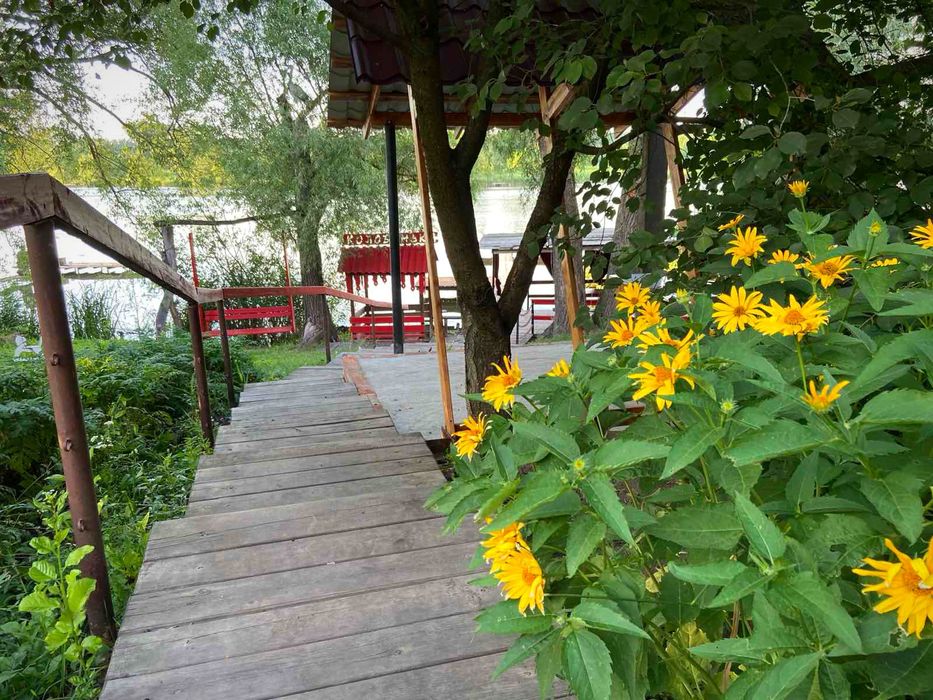 Будинок на березі річки