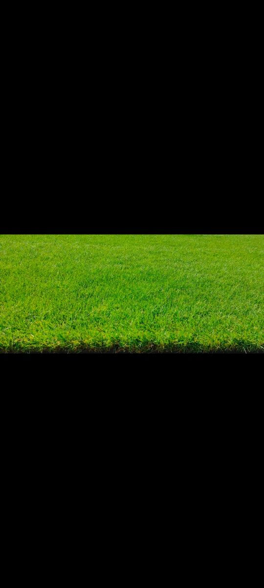Рулонний газон (трава) найвищої якості від виробника.