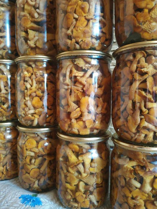 Опеньки мариновані великий асортмент маринованих грибочків
