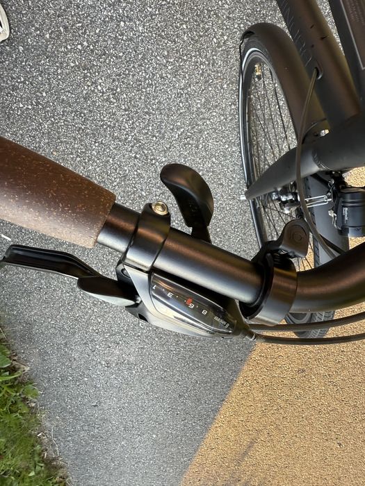 rower Winora, model Flitzer