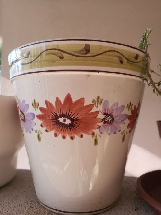 Vaso em cerâmica plantas