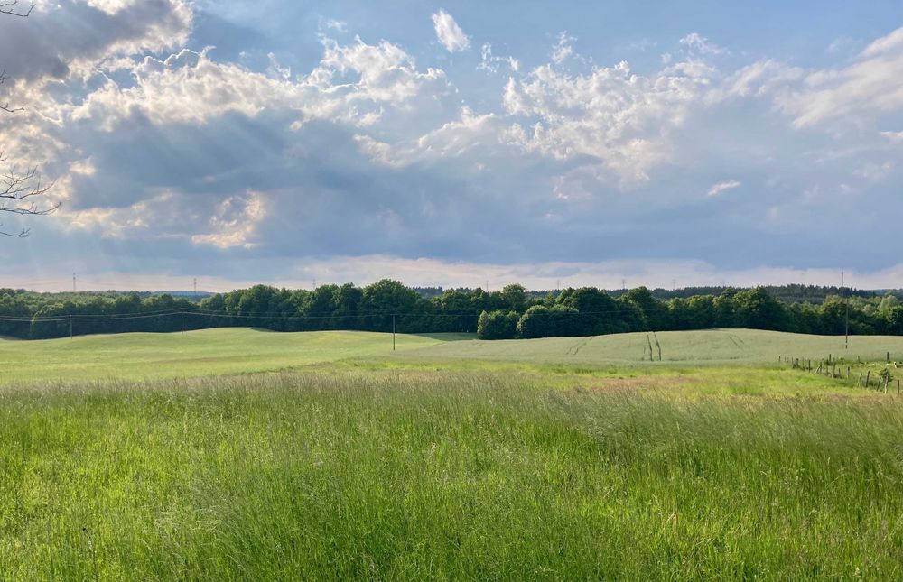 Sprzedam działkę z warunkami zabudowy. Bez pośredników.