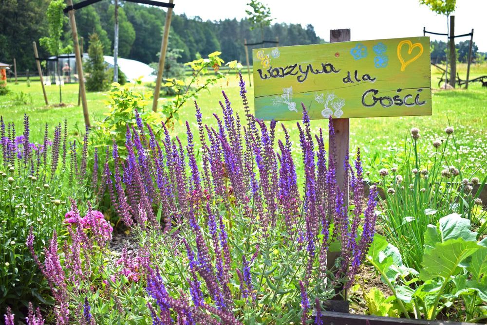 Leśny Zakątek Uroczysko- noclegi ,sauna, ruska bania ,basen