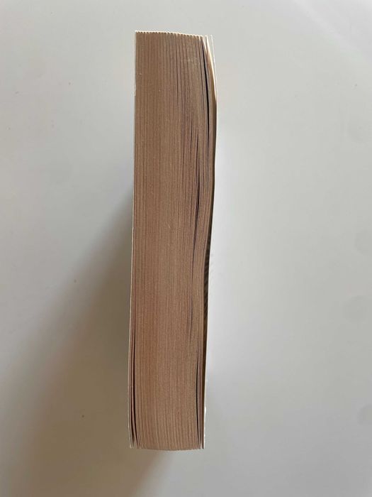 Elizabeth A. Lynn: Dragon's Winter (1999)