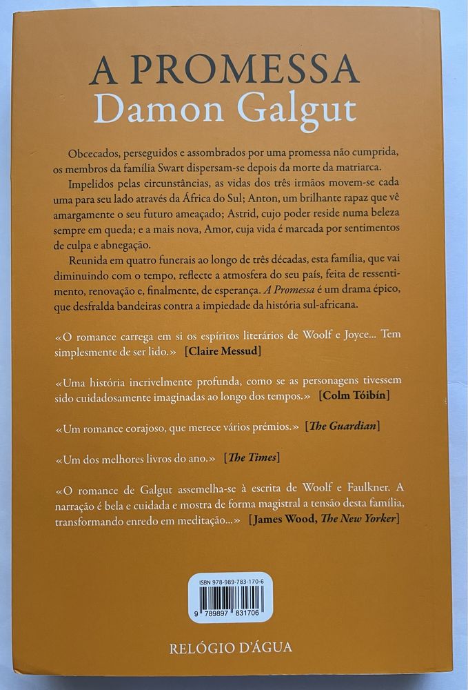A Promessa de David Galgut
