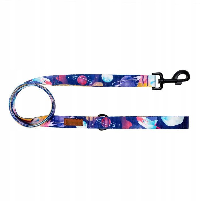 klasyczna smycz dla dużego psa powyżej 20 kg labrador collie seter