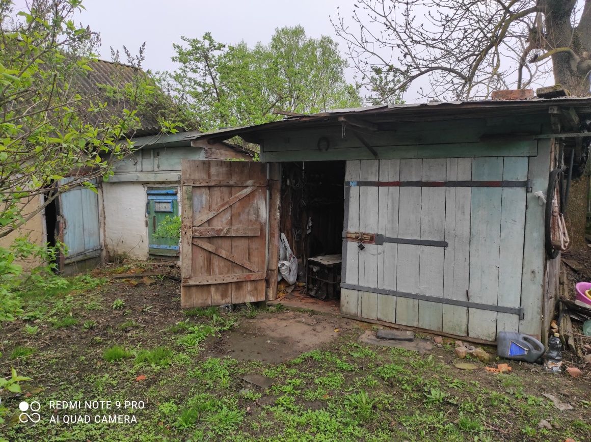 Продаю будинок в Прилуцькому районі село Велика дівиця, Чернігівської