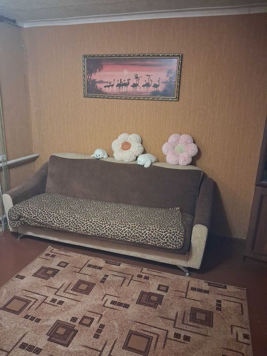 Продам будинок в смт Новомиколаївка (з/станція Верхньодніпровськ)