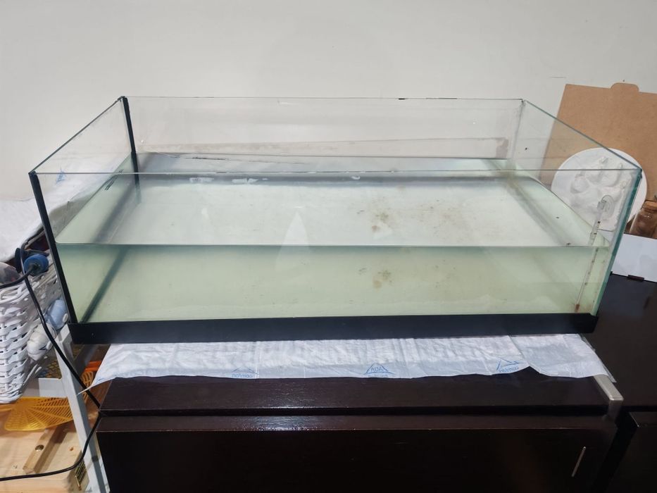 Aquário peixes 59cm