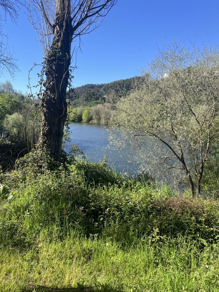 Vendo terreno na margem do rio mondego