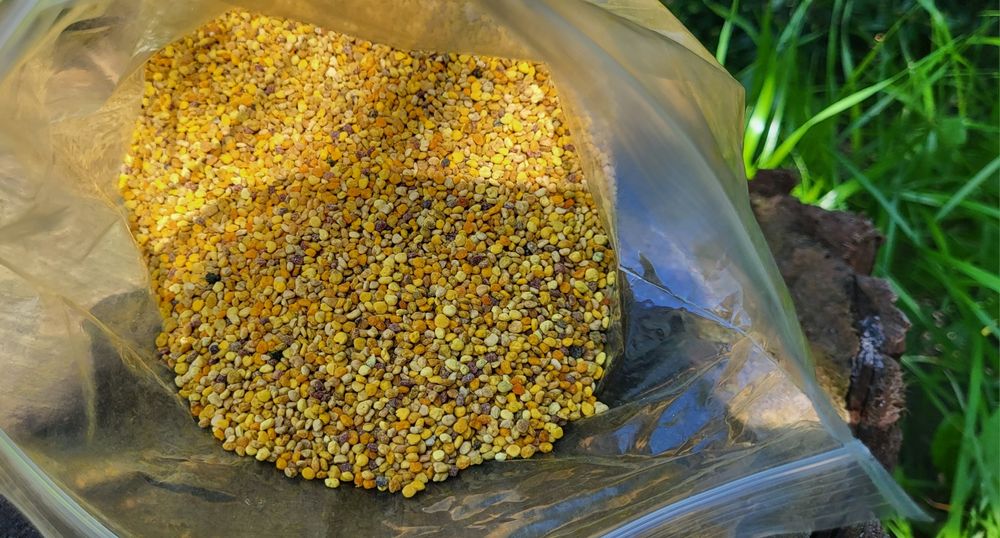 Pyłek Pszczeli 500 gram