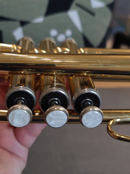 Trąbka mosiężna XP Francja