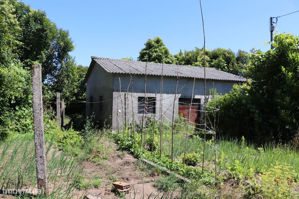 Armazém  Venda em Lustosa e Barrosas (Santo Estêvão),Lousada
