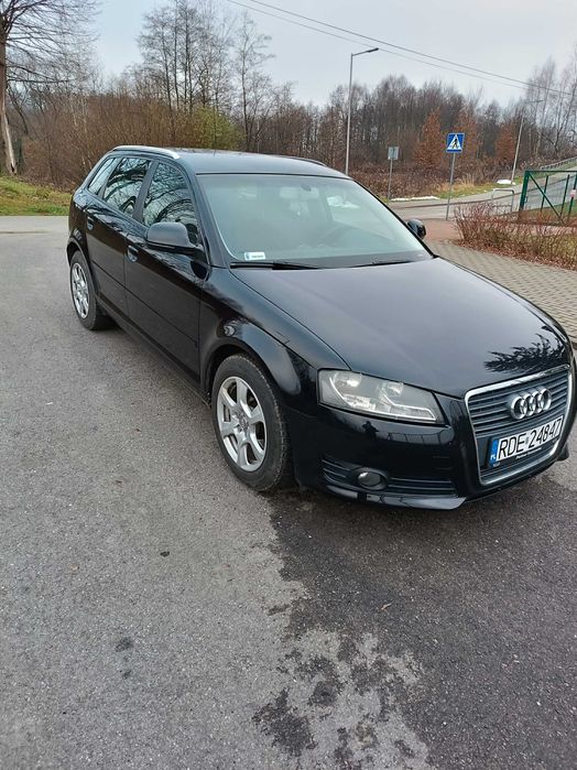 Audi A3 8P   1.9 tdi