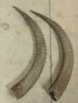 Cornos de antílope e touro