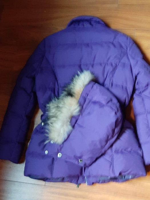 Kispo como novo da Caramelo