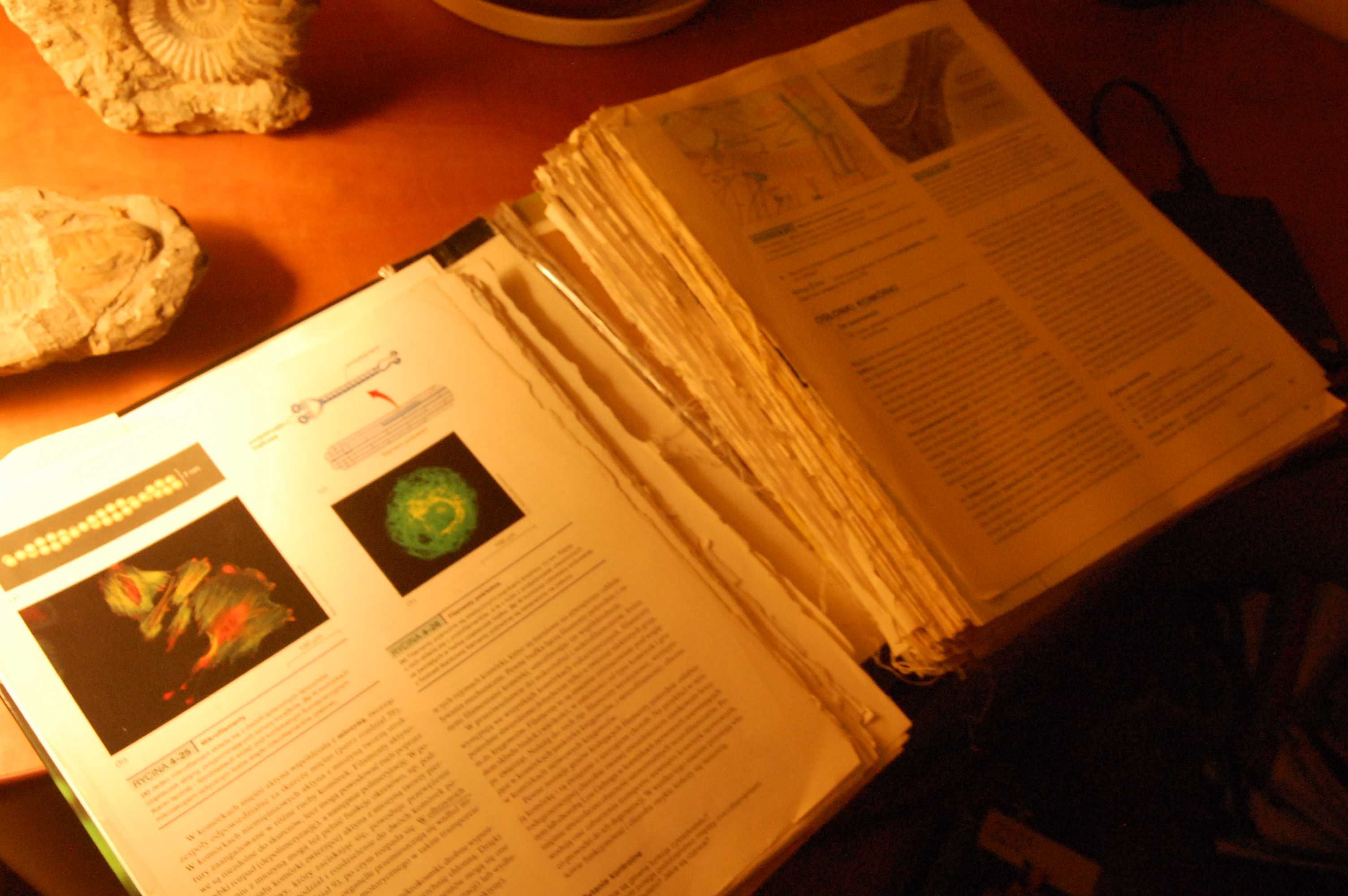 Biologia Diana W. Martin, Eldra P. Solomon, Linda R. Berg
