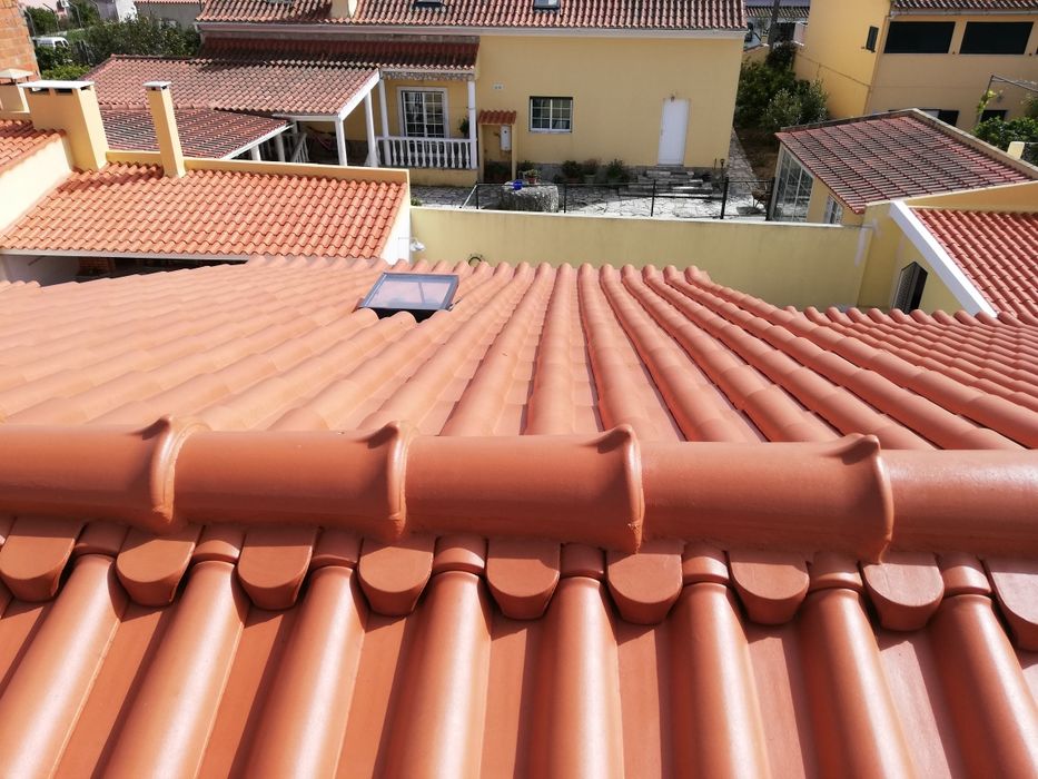 Pinturas, Lavagem e Impermeabilização de telhados, pinturas gerais.